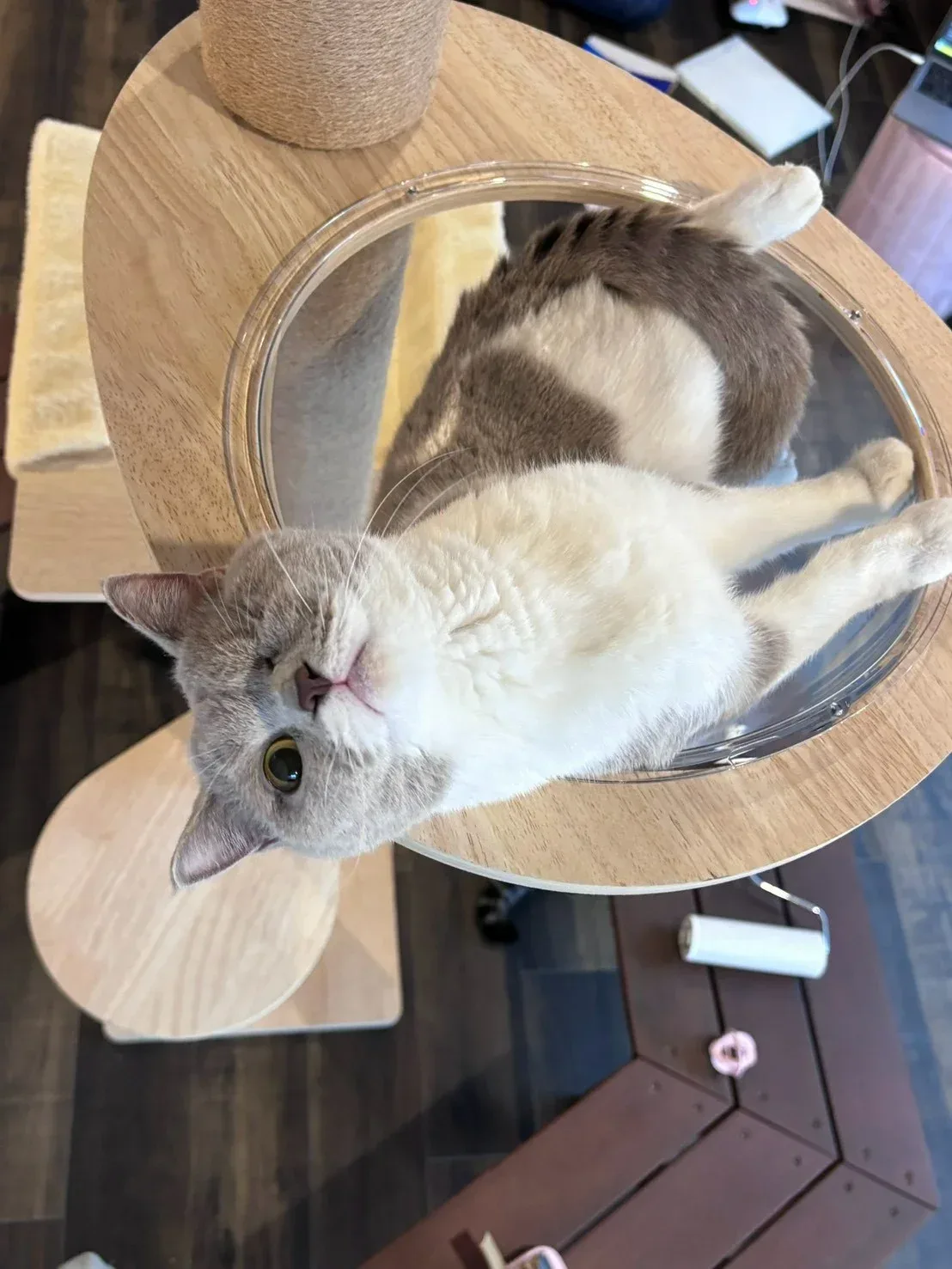 公開写真