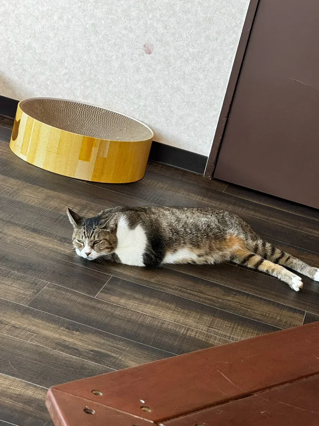 公開写真