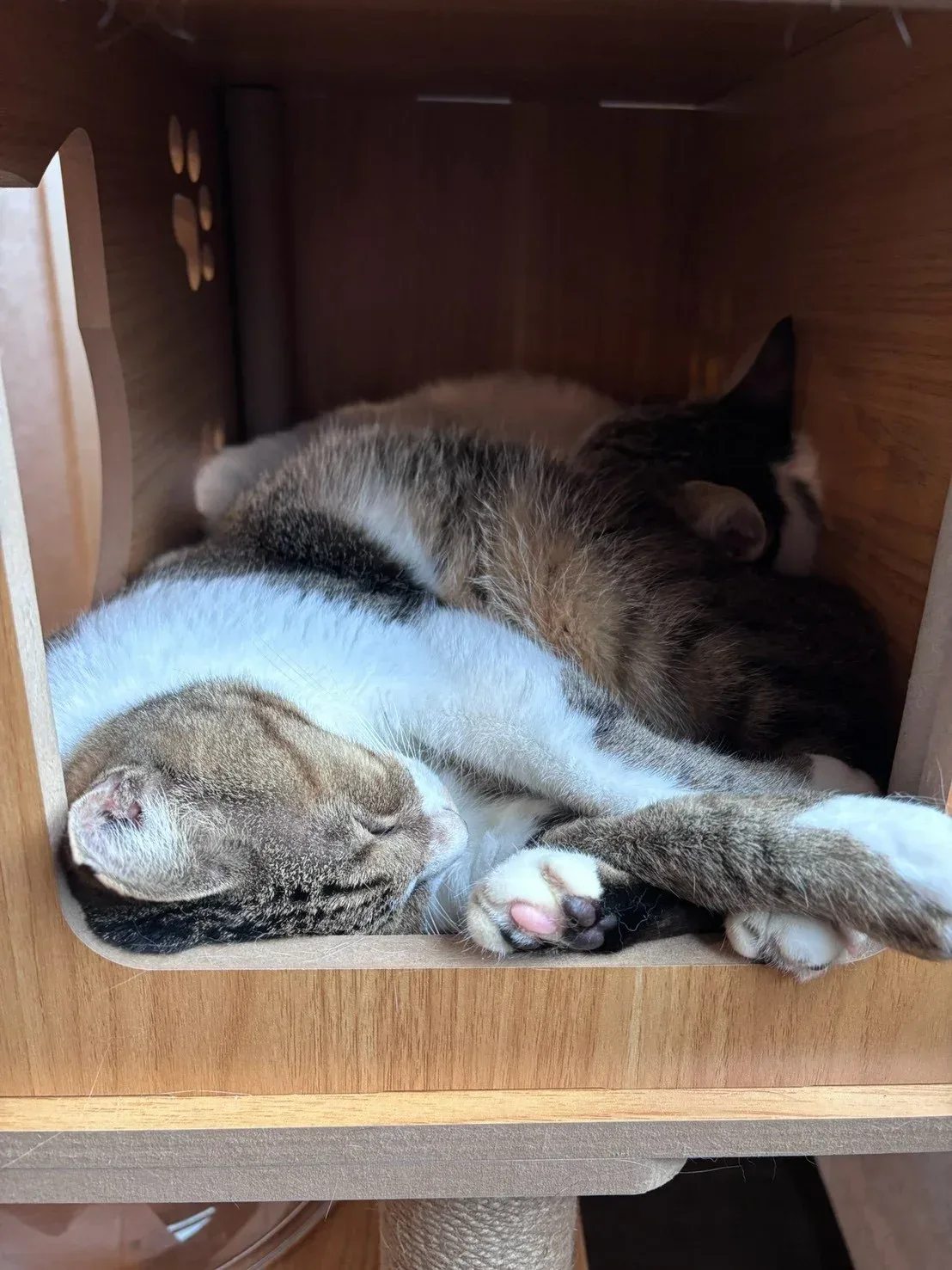 お休み中