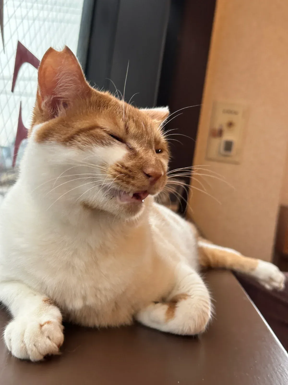 公開写真（先頭がメイン写真）