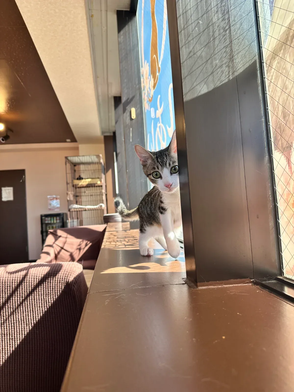 公開写真（先頭がメイン写真）