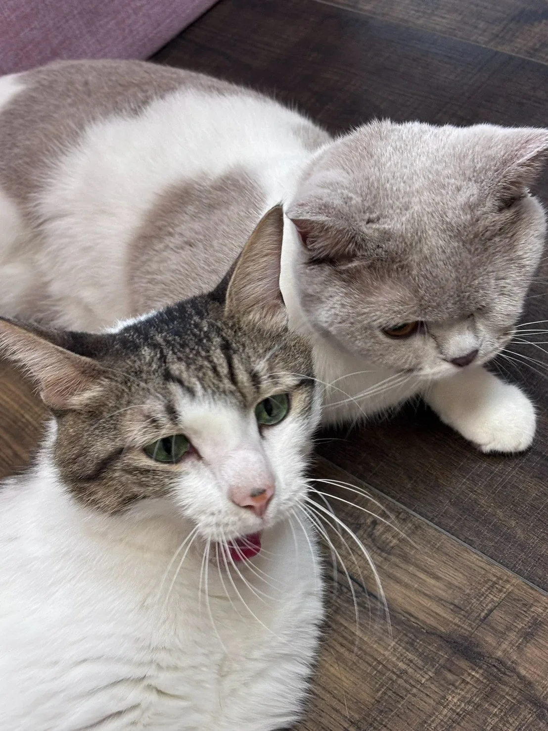 そばにいる、しあわせ。