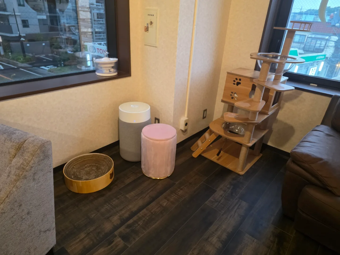 窓辺の木製キャットタワーとくつろぎのスペース