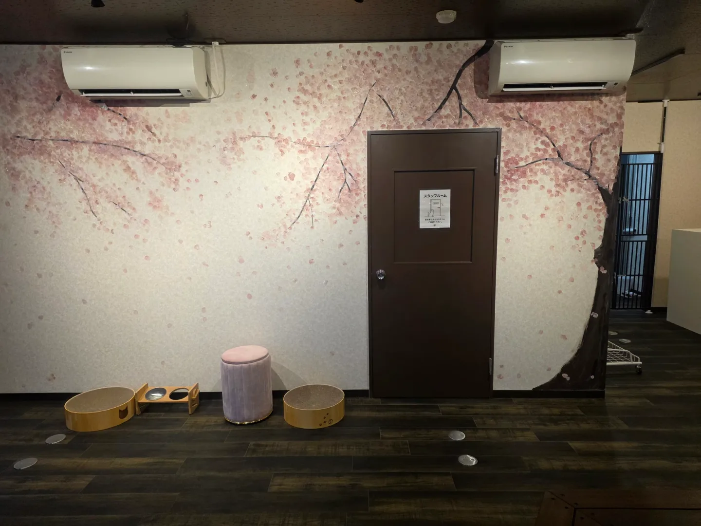 桜の壁面と木の床がある、実際のねこ和の店内